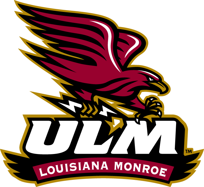 Louisiana-Monroe Warhawks 2006-Pres Alternate Logo t shirts iron on transfers v2